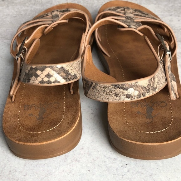 Corky’s Sandals Snake Print Oakdale Size 6 - Picture 3 of 8